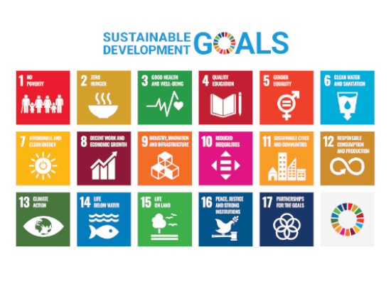 The 17 Sustainable Devleopment Goals in cards.