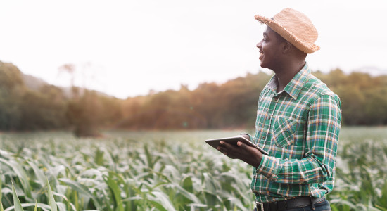 African farmer standing in a field holding a tablet