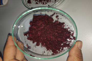 a powder in a petri dish