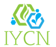 Logo IYNC Global