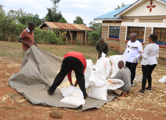 Group of Kenyan grain farmers testing Molepses products on a sample of grain placed on a large cloth.