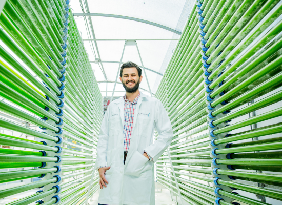 Tall young man with beard in white lab coat smiling into the camera, standing between photobioreactors (many horizontally stacked glas tubes filled with green substance)